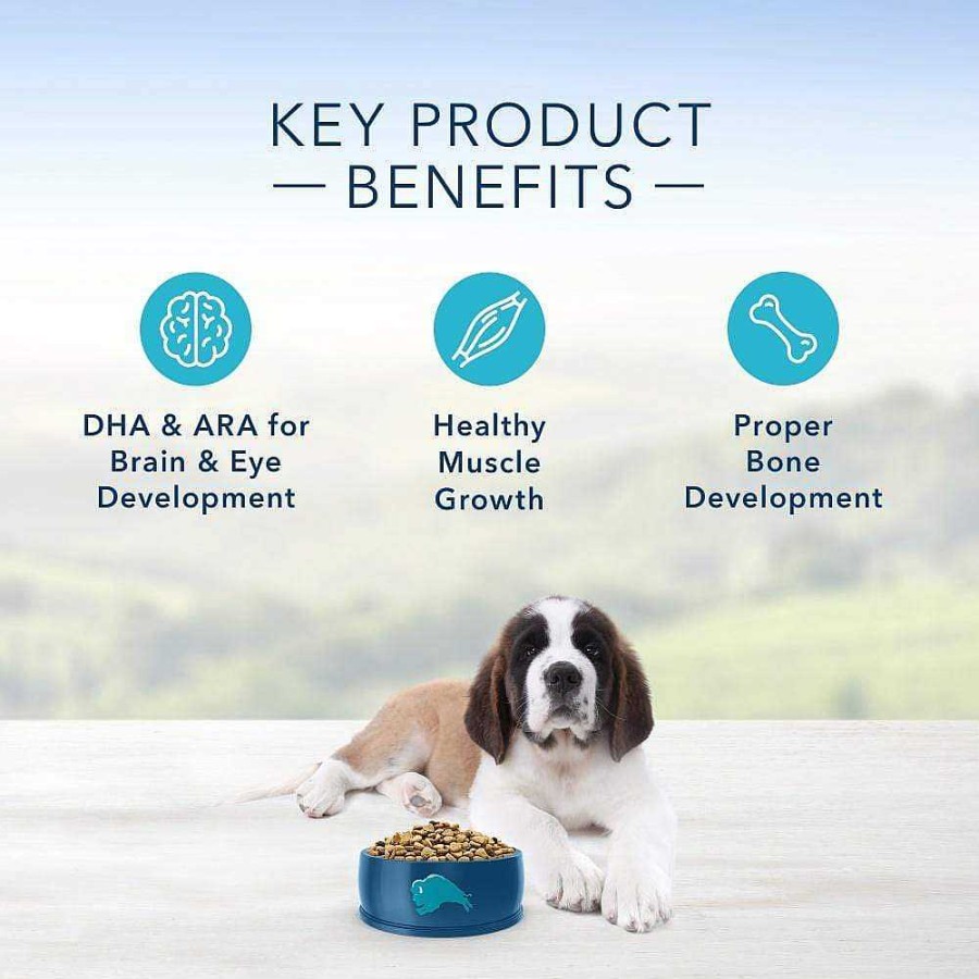 Dog Blue Buffalo Puppy Food | Blue Buffalo Life Protection Natural Chicken & Brown Rice Recipe Large Breed Puppy Dry Dog Food