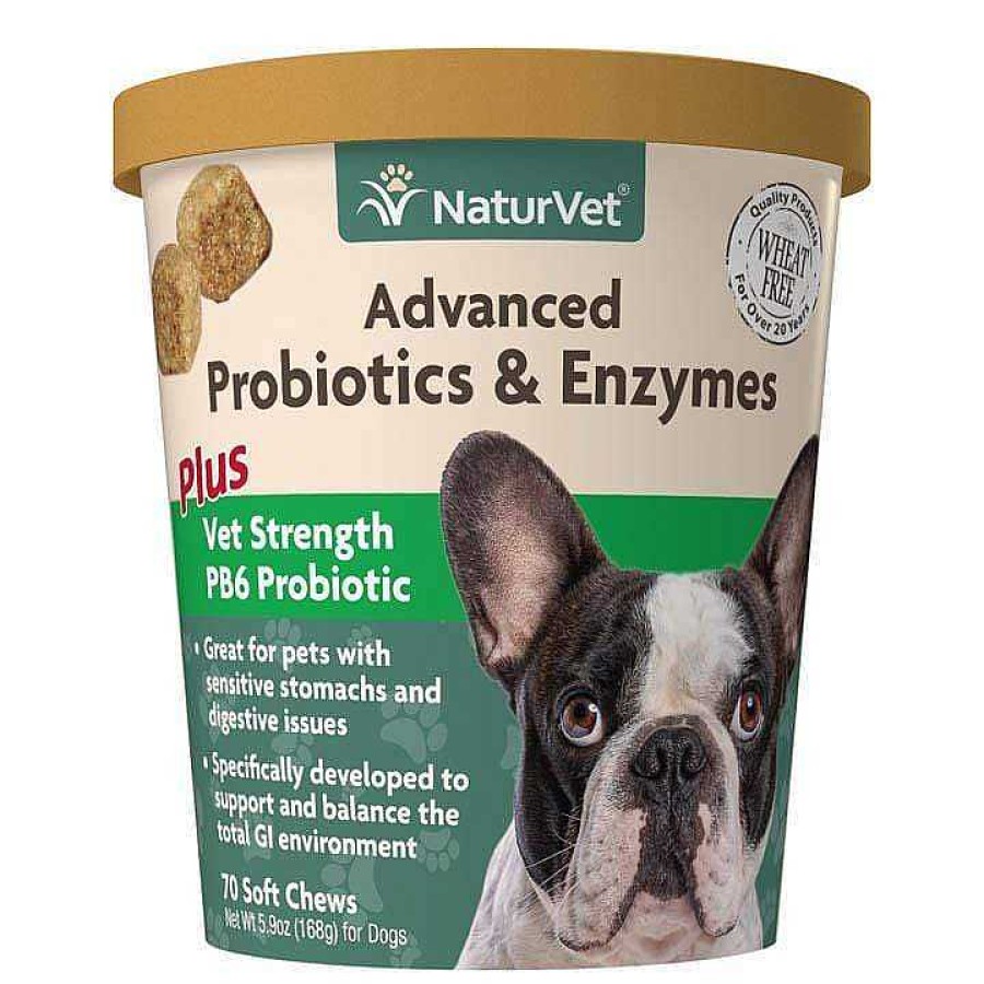 Dog NaturVet Digestion | Naturvet Advanced Probiotics & Enzymes Soft Chews For Dogs