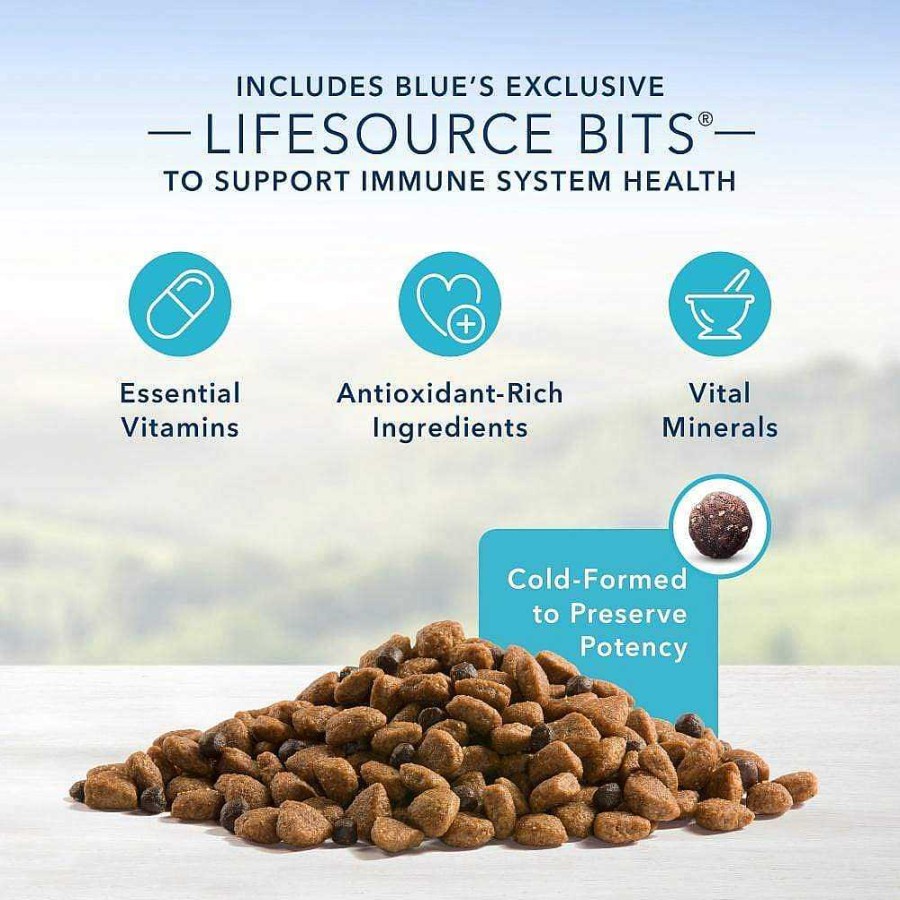 Dog Blue Buffalo Senior Food | Blue Buffalo Life Protection Natural Chicken & Brown Rice Recipe Senior Dry Dog Food