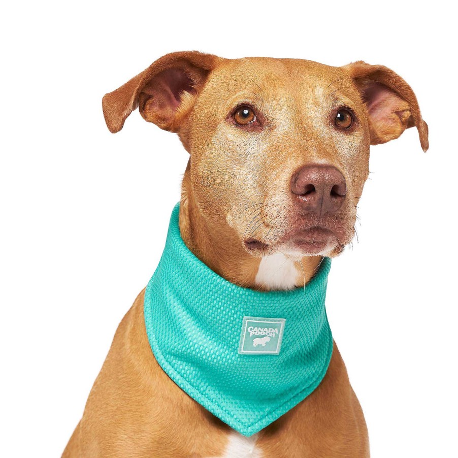 Dog Canada Pooch Apparel | Canada Pooch Special Edition Wet Reveal Smiley Cooling Bandana For Dogs