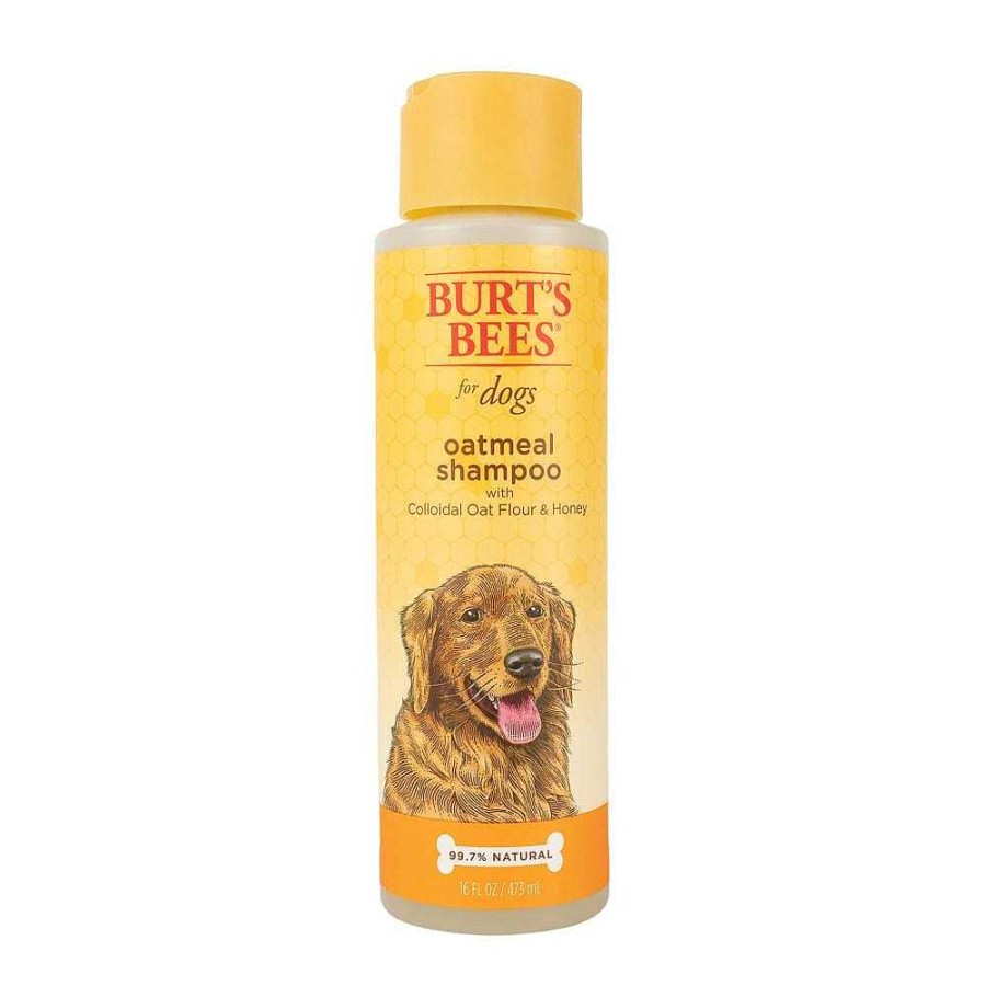 Dog Burt's Bees Grooming | Burt'S Bees Oatmeal Dog Shampoo With Colloidal Oat Flour And Honey