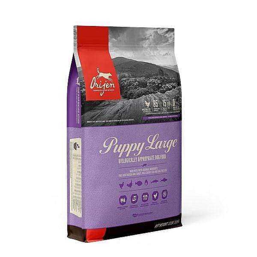 Dog ORIJEN Grain-Free Food | Orijen Puppy Large Breed Dry Dog Food