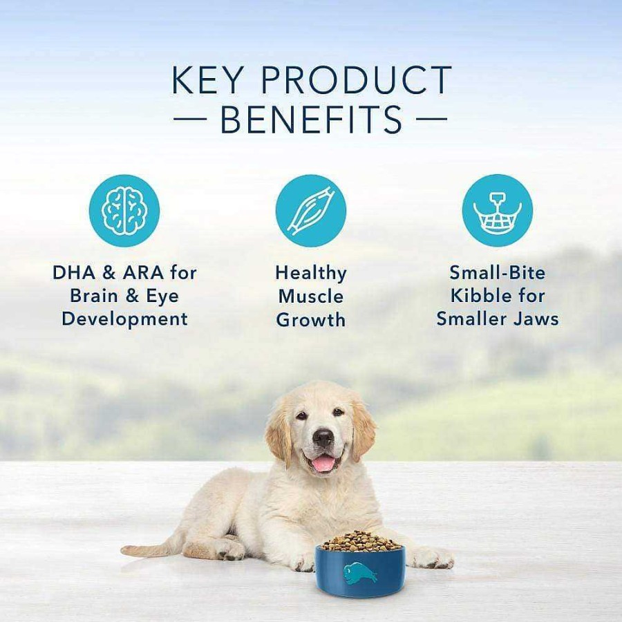 Dog Blue Buffalo Puppy Food | Blue Buffalo Life Protection Natural Lamb & Oatmeal Recipe Puppy Dry Dog Food