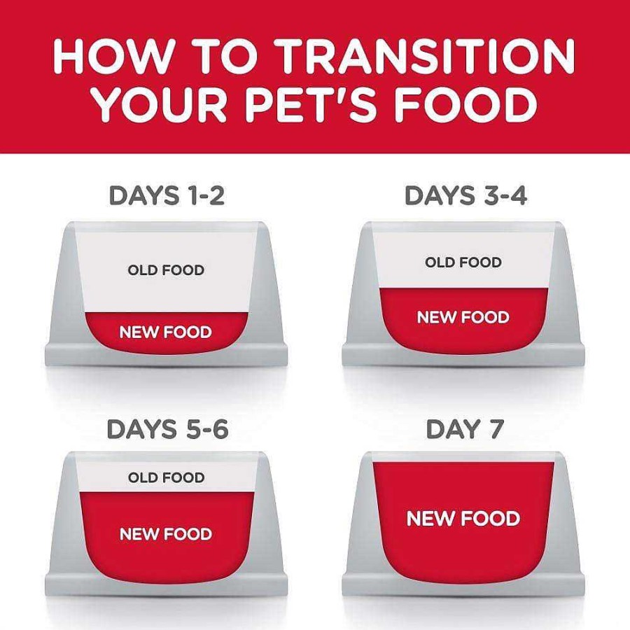 Dog Hill's Science Diet Senior Food | Hill'S Science Diet Adult 7+ Chicken, Rice, And Barley Recipe Dry Dog Food