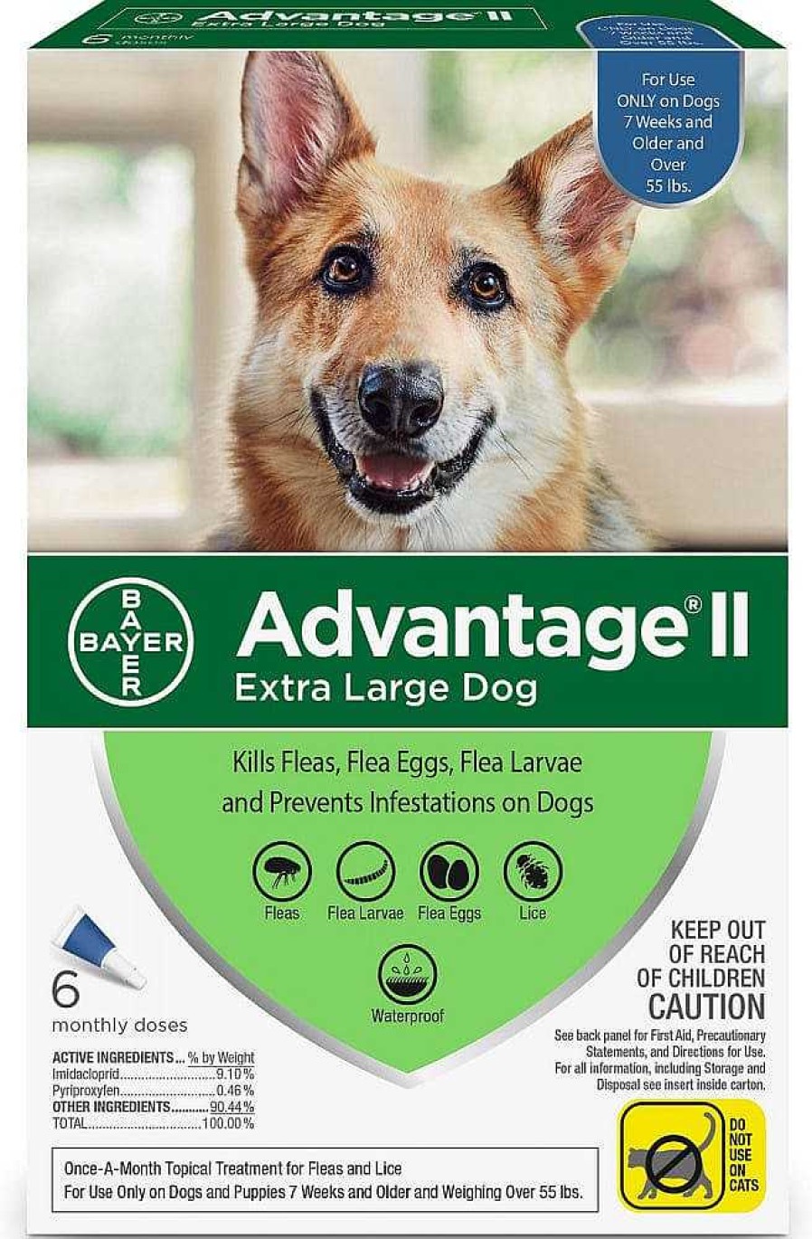 Dog Bayer Flea & Tick | Bayer Advantage Ii Flea & Lice Preventative For Dogs