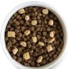 Dog Open Farm Dry Food | Open Farm Grain-Free Rawmix Wild Ocean Recipe Dog Food