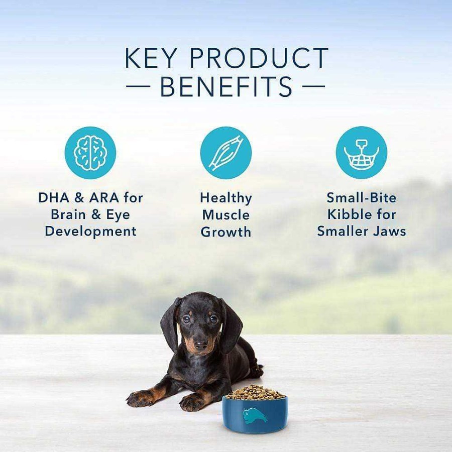 Dog Blue Buffalo Puppy Food | Blue Buffalo Life Protection Natural Chicken & Oatmeal Recipe Small Breed Puppy Dry Dog Food