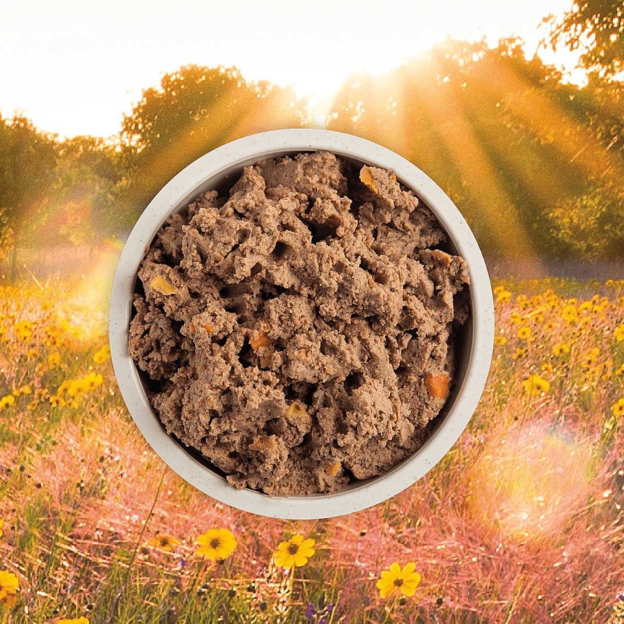 Dog Acana Puppy Food | Acana Premium Puppy Recipe Grain Free Pate In Bone Broth For Dogs