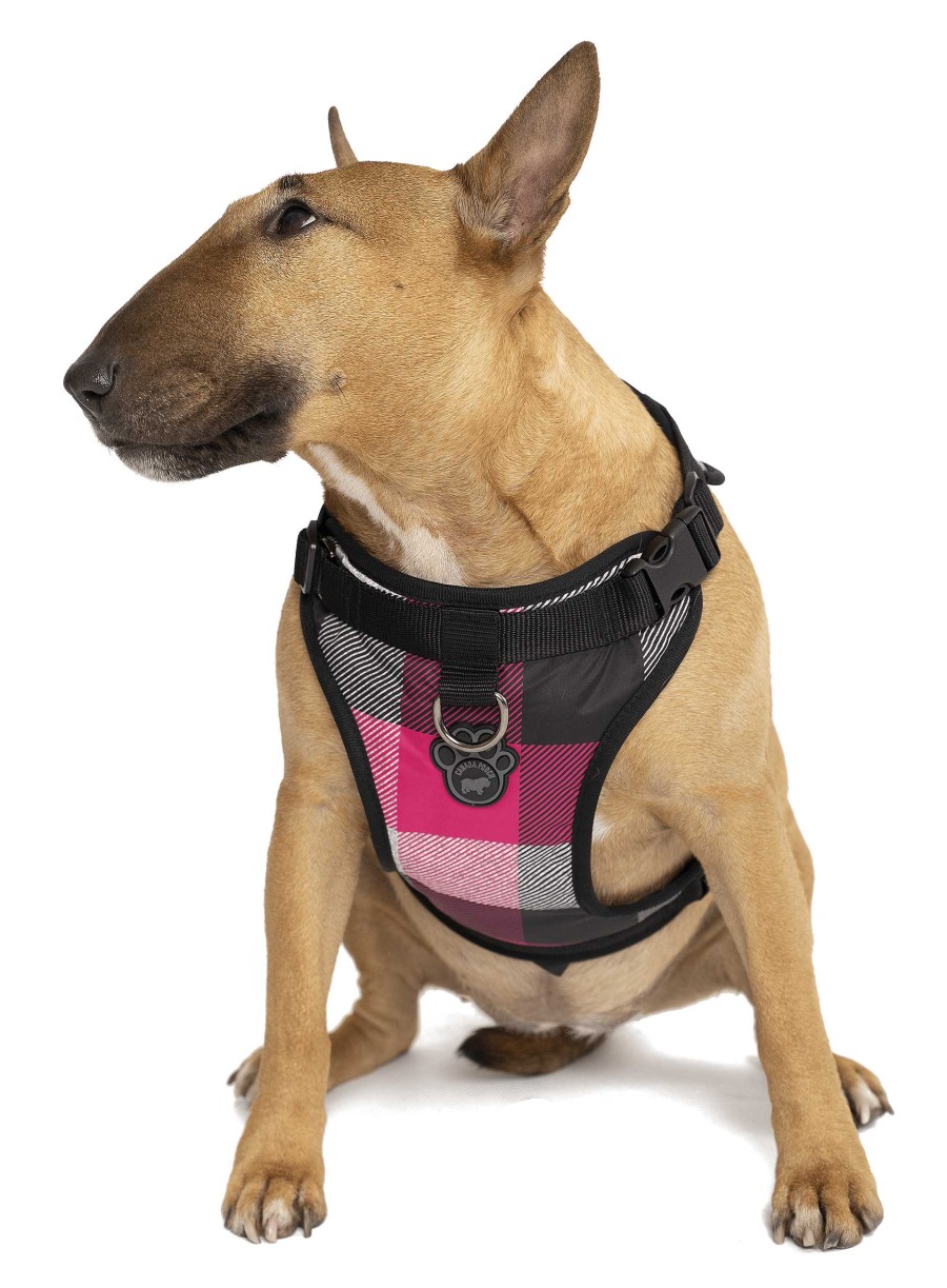 Dog Canada Pooch Leashes, Collars & Harnesses | Canada Pooch Everything Harness Water-Resistant Series Pink Plaid Harness For Dogs