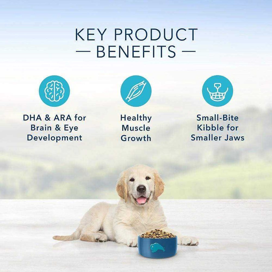 Dog Blue Buffalo Puppy Food | Blue Buffalo Life Protection Natural Chicken & Brown Rice Recipe Puppy Dry Dog Food