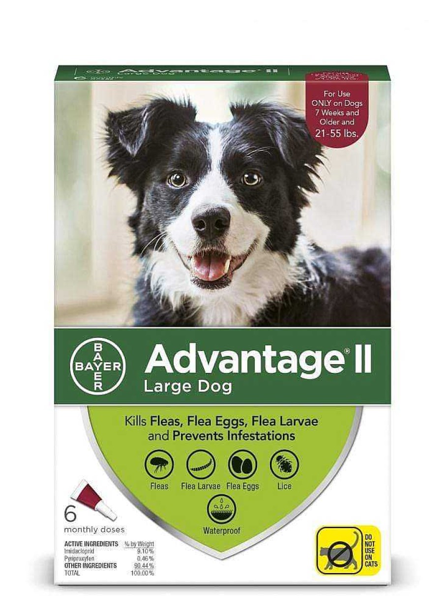 Dog Bayer Flea & Tick | Bayer Advantage Ii Flea & Lice Preventative For Dogs