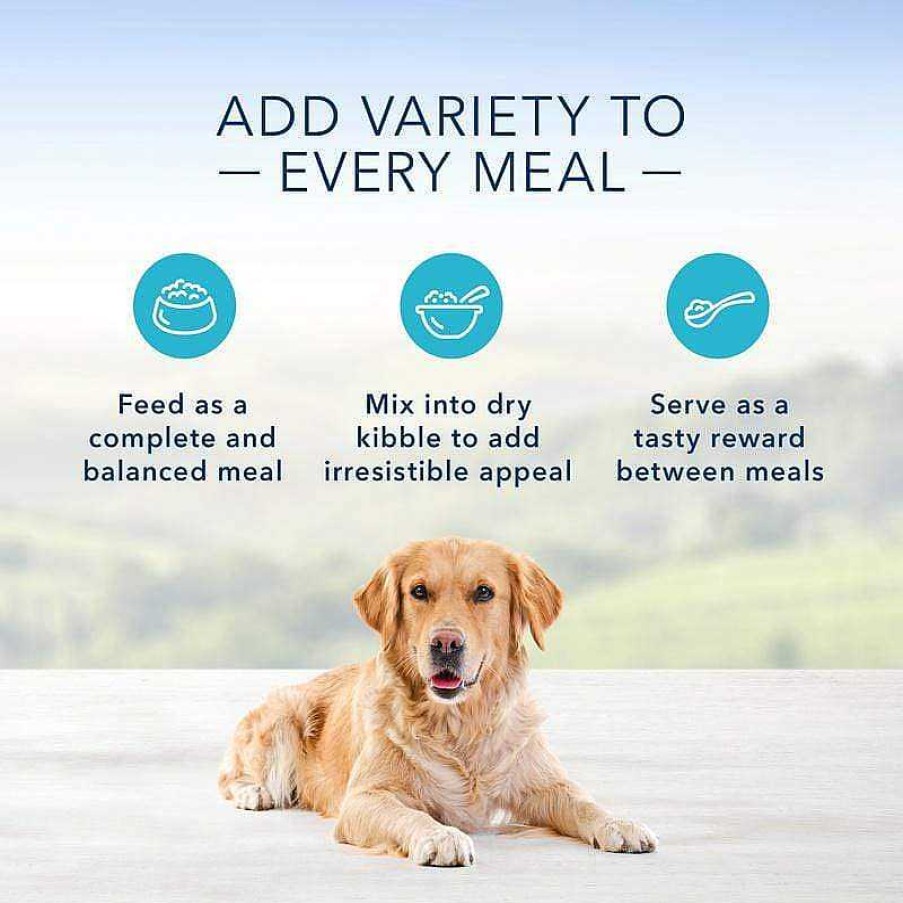 Dog Blue Buffalo Wet Food | Blue Buffalo Homestyle Recipe Chicken Dinner With Garden Vegetables & Brown Rice Canned Dog Food